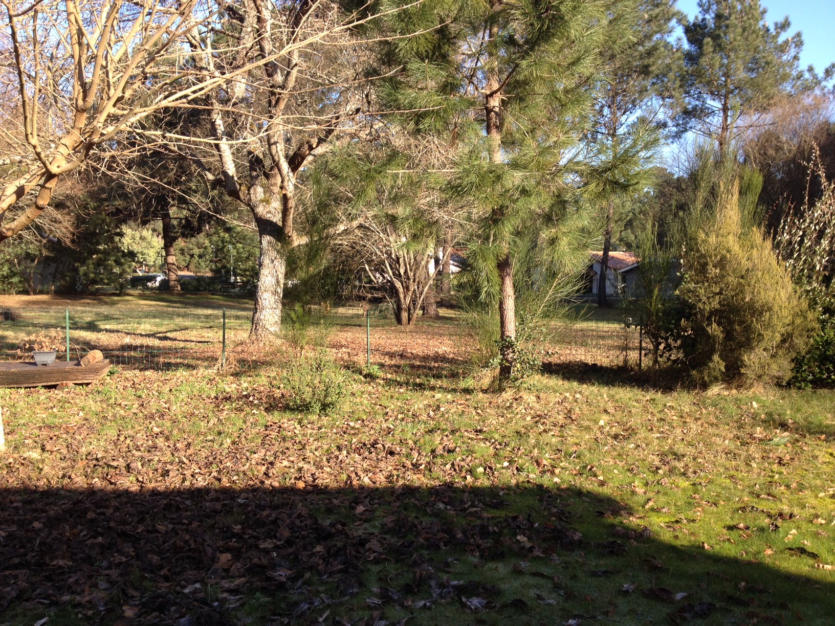Terrain